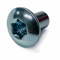 5/16-18 X .597 TORX TRUSS BARREL NUT   ZN